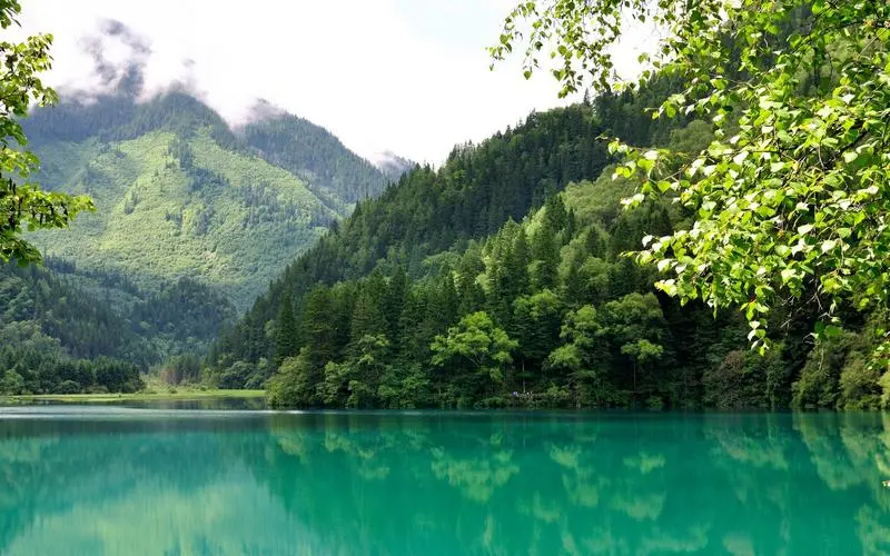 智能高性能